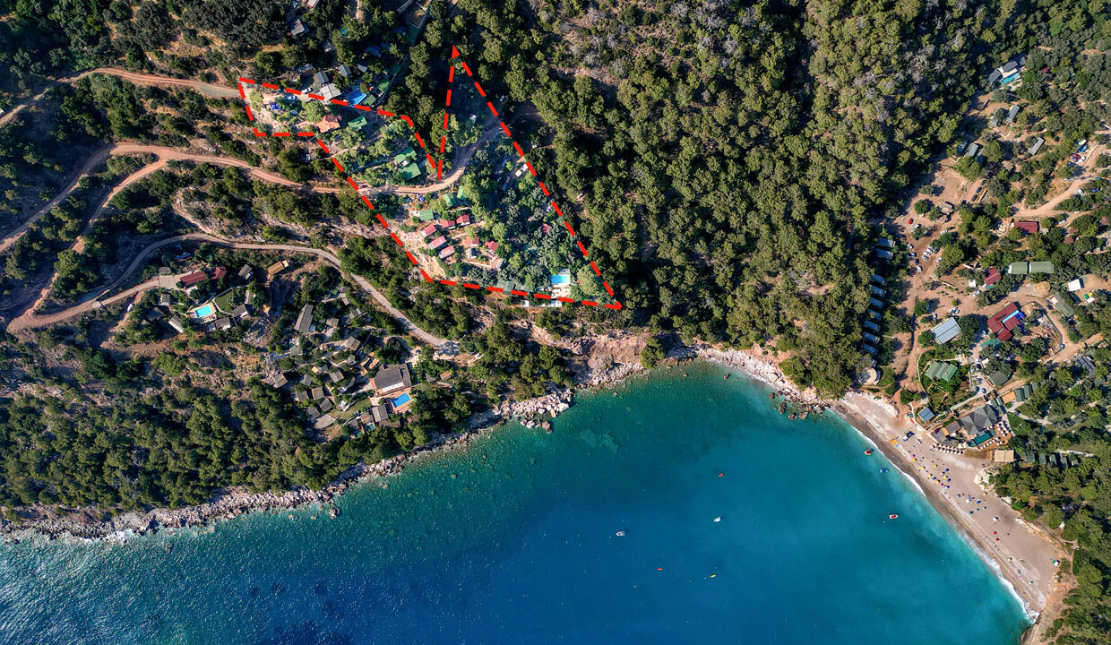 Kabak Koyu - Sezgi Bilge